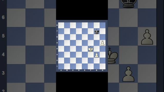 Excellent academy chess class Pawn endgame