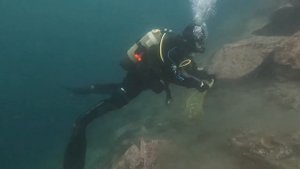 БАРЕНЦЕВО МОРЕ ДАЙВИНГ ТРЕСКА КРАБЫ КАМБАЛА