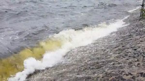 Рыбинск Дамба соревнования по фидеру