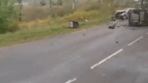 В Ярославле дерево упало на здание спортшколы