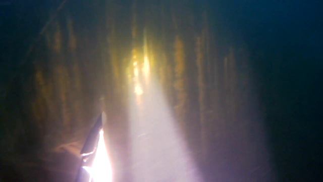 Подводная охота 21.05.2019 год (празрак, много щуки, раки) смотреть онлайн