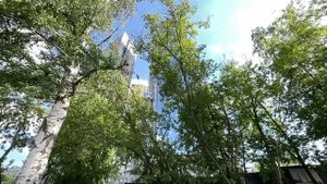 Обзор ЖК Level Нагатинская. Отзыв покупателя. Локация. Планировка на вырост.