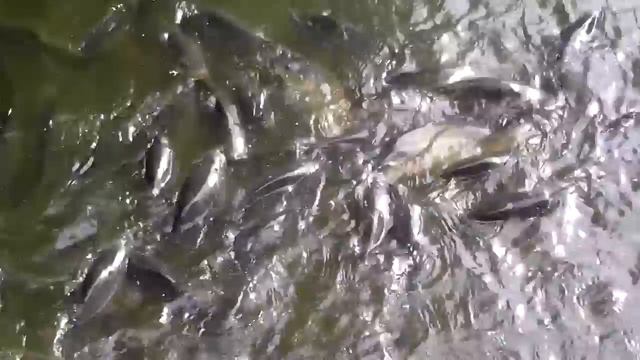 Клёвое место смотреть онлайн