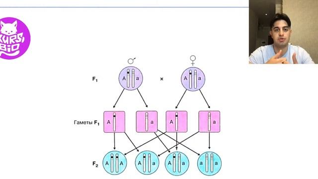 Вся генетика за 30 минут! Решение генетики для ЕГЭ по биологии! смотреть онлайн