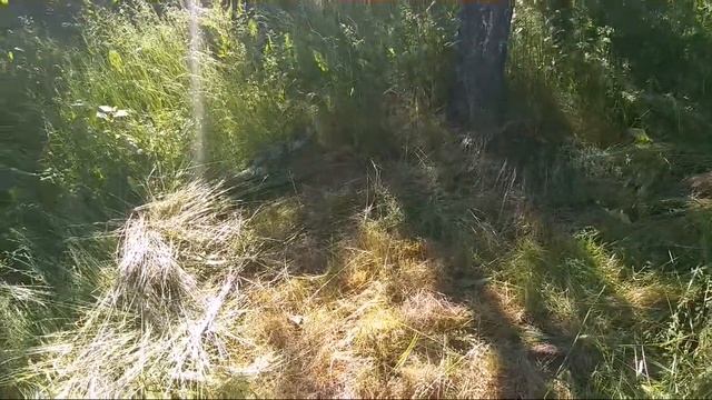 Toothed cutting disc 60T for brush cutter. смотреть онлайн