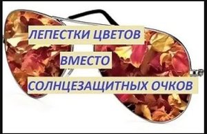 Про бархатцы по науке