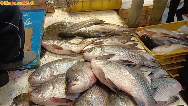 SEALDAH FISH MARKET||Wholesale price list💵||Kolkata Fish Market #video #fish #wholesale