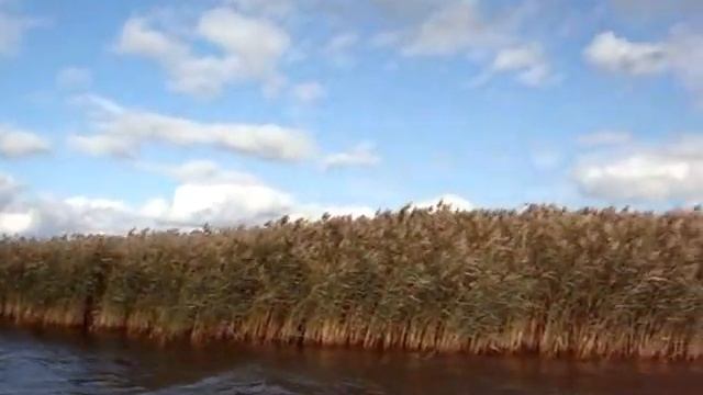 Премудрый пескарь смотреть онлайн