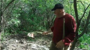 Золото Колчака.