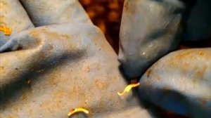 114 НА ПЕРВЫЙ ВТОРОЙ РАССЧИТАЙСЯ РОЖДЕНИЕ ЧЕРВЯ СТАРАТЕЛЯ