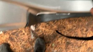 FORD ECOSPORT ,1.6 л МКПП 2017