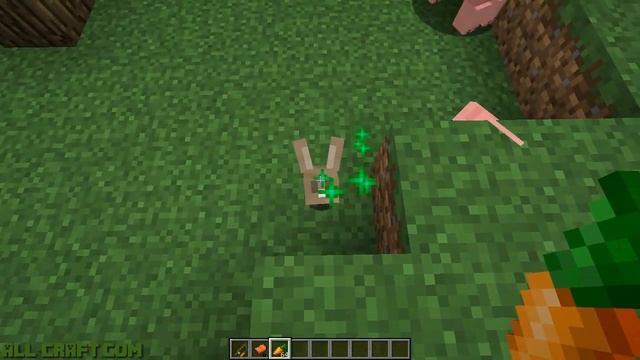 Как приручить свинью в Майнкрафт смотреть онлайн