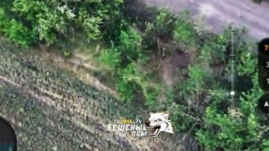 🛫💥☠⚡Оператор FPV дрона "Юнус" бригады бешеные псы уничтожает спокойно гуляющего боевика ВСУ