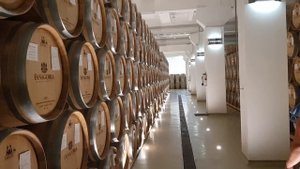 1ч ЛУЧШИЙ ВИННЫЙ ЗАВОД РОССИИ- ФАНАГОРИЯ,  ДЕГУСТАЦИЯ + ЭКСКУРСИЯ.