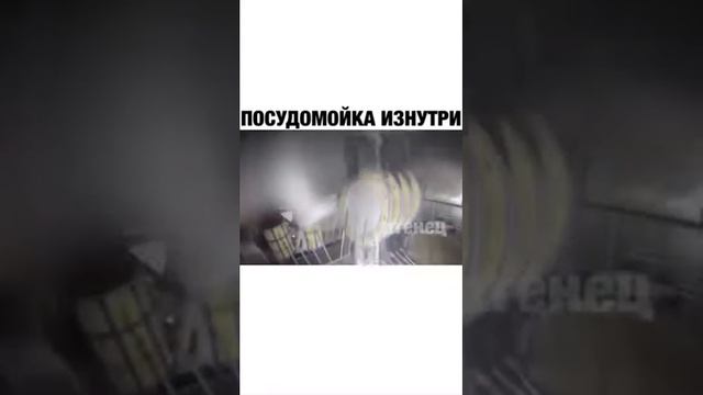 Посудомойка изнутри смотреть онлайн
