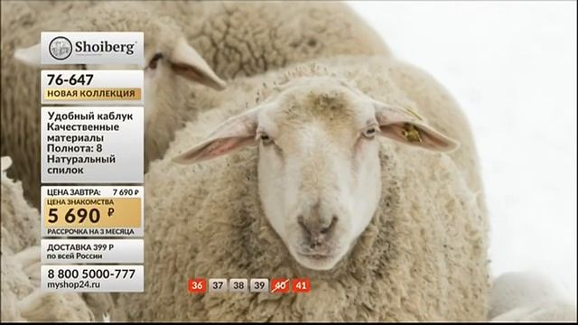 Сапоги женские с украшением на голенище смотреть онлайн