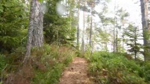 Змеиная гора (Лахденпохья, Карелия) - очень красивые виды с верху.