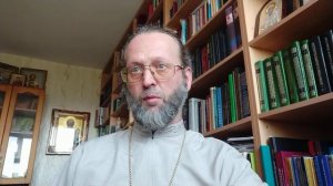 Богословский анализ доклада протоиерея Вячеслава Рубского "Понимание пола в православии"