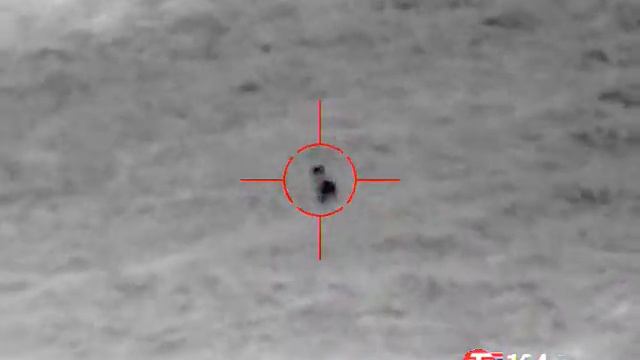 Охота на шакала ночью. Вдвоём отсалютовали !!! смотреть онлайн