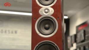 Polk Audio RTI A9 vs Monitor Audio Bronze 500