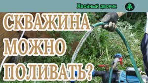 Можно ли поливать летом хвойные водой со скважины? питомник "Хвойный дворик" Вопрос- ответ