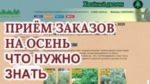 Прием предварительных заказов с 20 августа сезон осень 2020 года. Что нужно  знать!