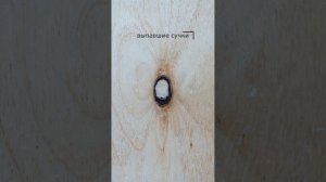 Фанера 10*1525*1525 мм сорт 4/4 ГОСТ