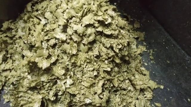 Переработка тыквенных семян. МГ 200.