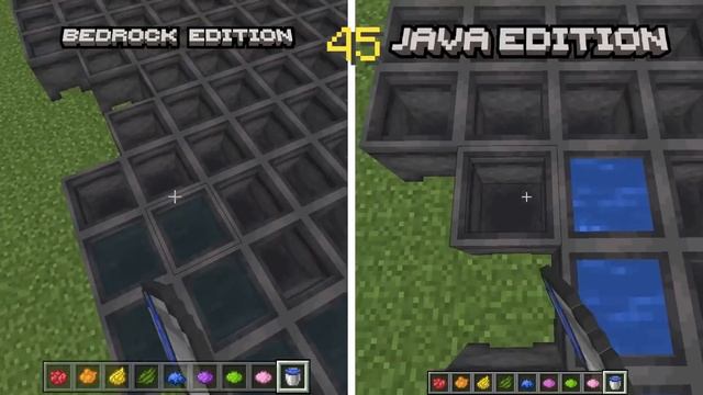 Java vs Bedrock - (BEST OF FUN FACTS)