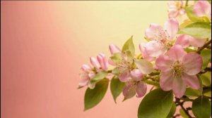 "Книга Пророка Исаии" / 48 ГЛАВА