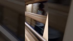 Поезд Москва-Санкт-Петербург поезд номер 026 рум тур по поезду как залезть на полку и слизать