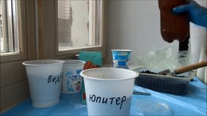 Посадка перца на рассаду без пикировки: посев семян в стаканчики.