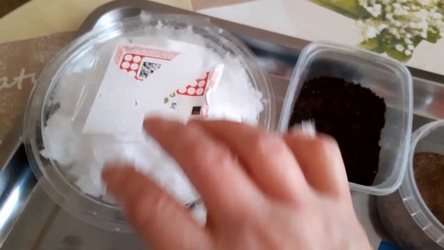 Самый лёгкий и надёжный способ .Посадка клубники семенами. смотреть онлайн