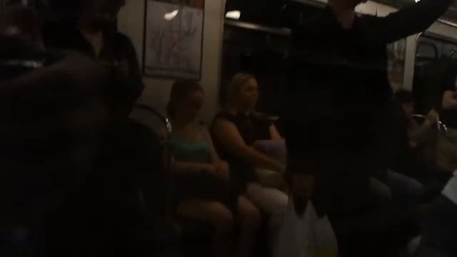 СПБ Метро: Перегон (Приморская-Василеостровская). смотреть онлайн