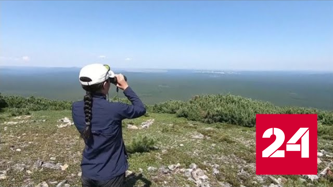Развиваем туризм. Рост туристов. Адыгея экотуризм. Рост турист. Рост турист.