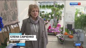 Новые коллекции домашних цветов в оранжерее Садового центра