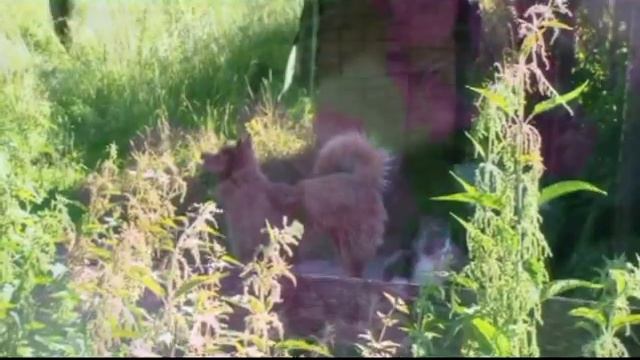 Как Прекрасен этот мир, посмотри смотреть онлайн