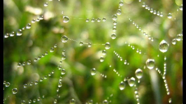 Нежность мая смотреть онлайн