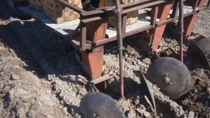 Посадка картофеля навесной картофелесажалкой Трактор МТЗ 50