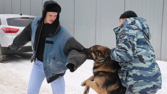 Отзыв от студентов: "Студенческий десант" у кинологов смотреть онлайн