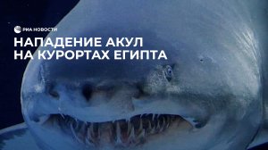 Нападения акул в Египте