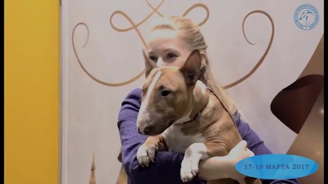 Анонс ЕВРАЗИЯ 2017 смотреть онлайн