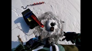 ЗИМНИЙ СУДАК на РАТТЛИНЫ-(ВИБЫ)! Волгоградское Водохранилище, судак кушает!!! Рыбалка 2023.
