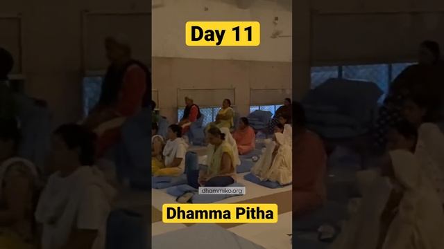 Day11 - 4am Vipassana Meditation  Dhamma Pitha Ahmedabad