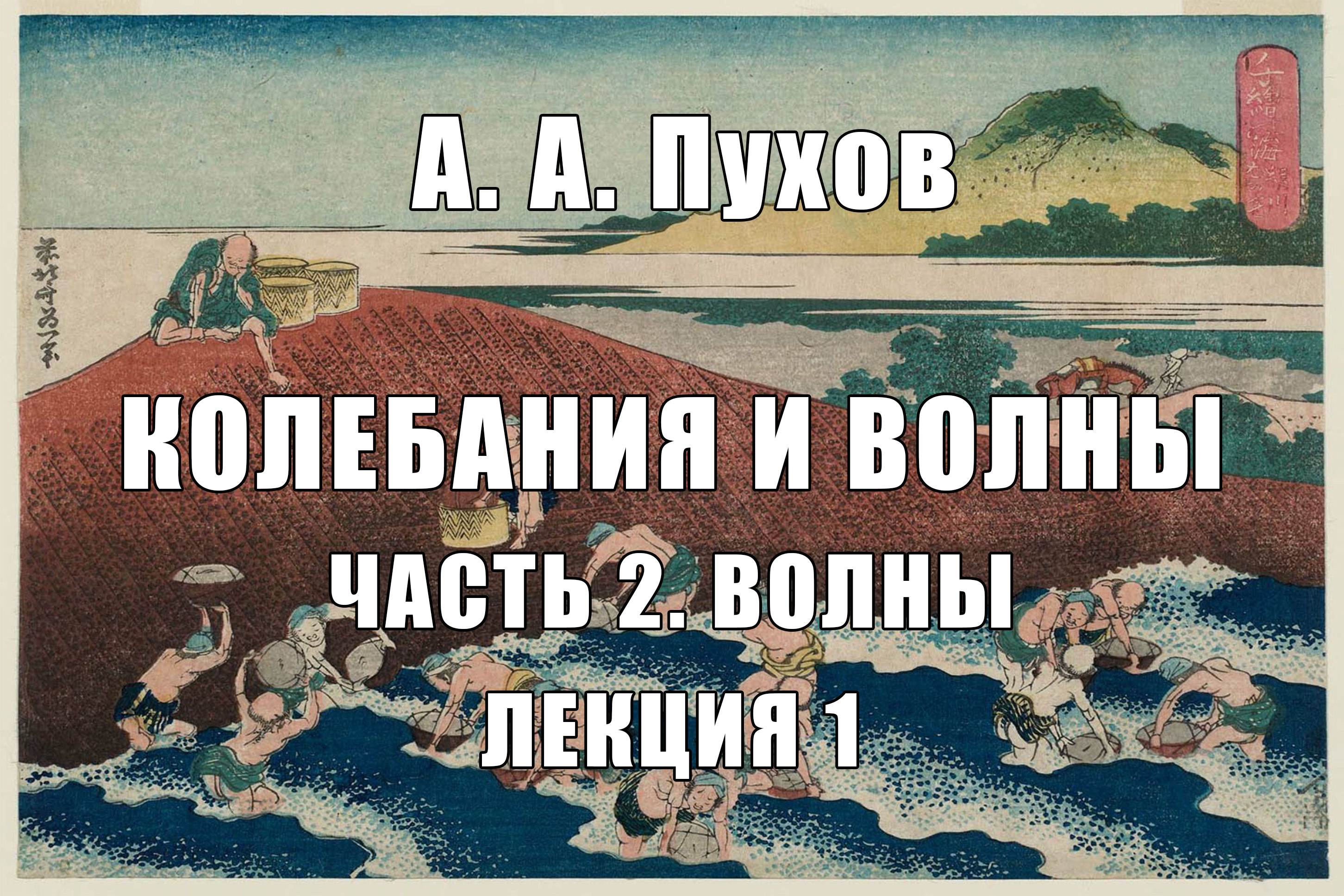 Лекция 1. Часть 2. Волны. Курс лекций "Колебания и волны". А.А. Пухов