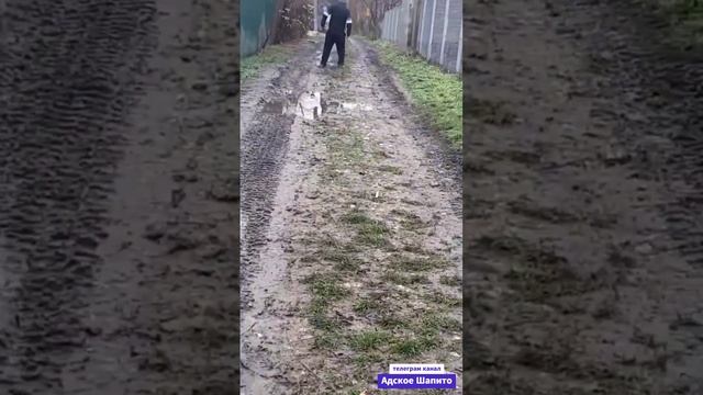 Путь домой