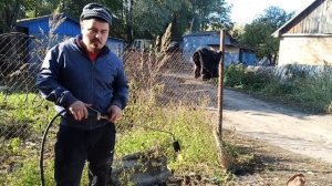 Живой вес 240 кг. Туша 188 кг. Взвесили свиную тушу по частям. Свиноводство.