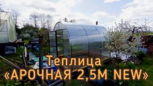 АРОЧНАЯ 2,5М. ТЕПЛИЦА ШИРИНОЙ 2,5 МЕТРА.