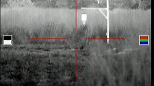 ATN Thor 320 3X Thermal Scope - Raccoon at the Feeder
