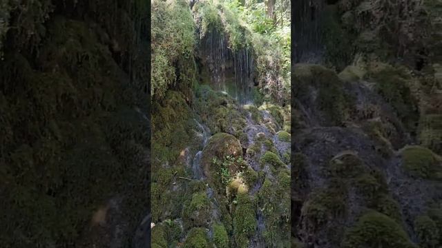 Russian Wildlife 🌿 Travel 🌿 Nature 🌿 Forest 🌿 Лес 🌿 Природа 🌿 Река 🌿 Водопад 🌿 Горы 🌿 Кавказ 🌿 смотреть онлайн